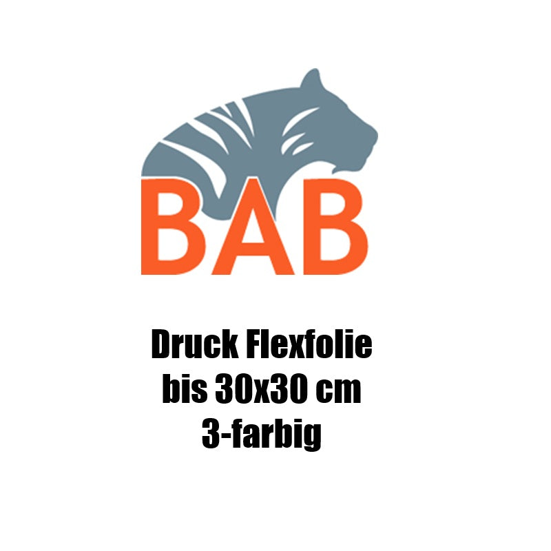 Druck bis 30x30cm  3-farbig