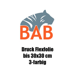 Druck bis 30x30cm  3-farbig